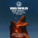 Big Wild