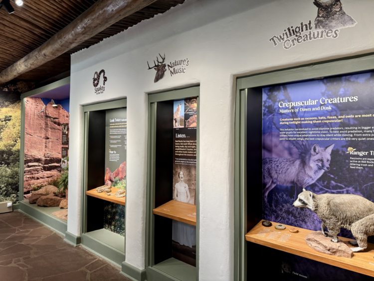 Nature Center Exhibit